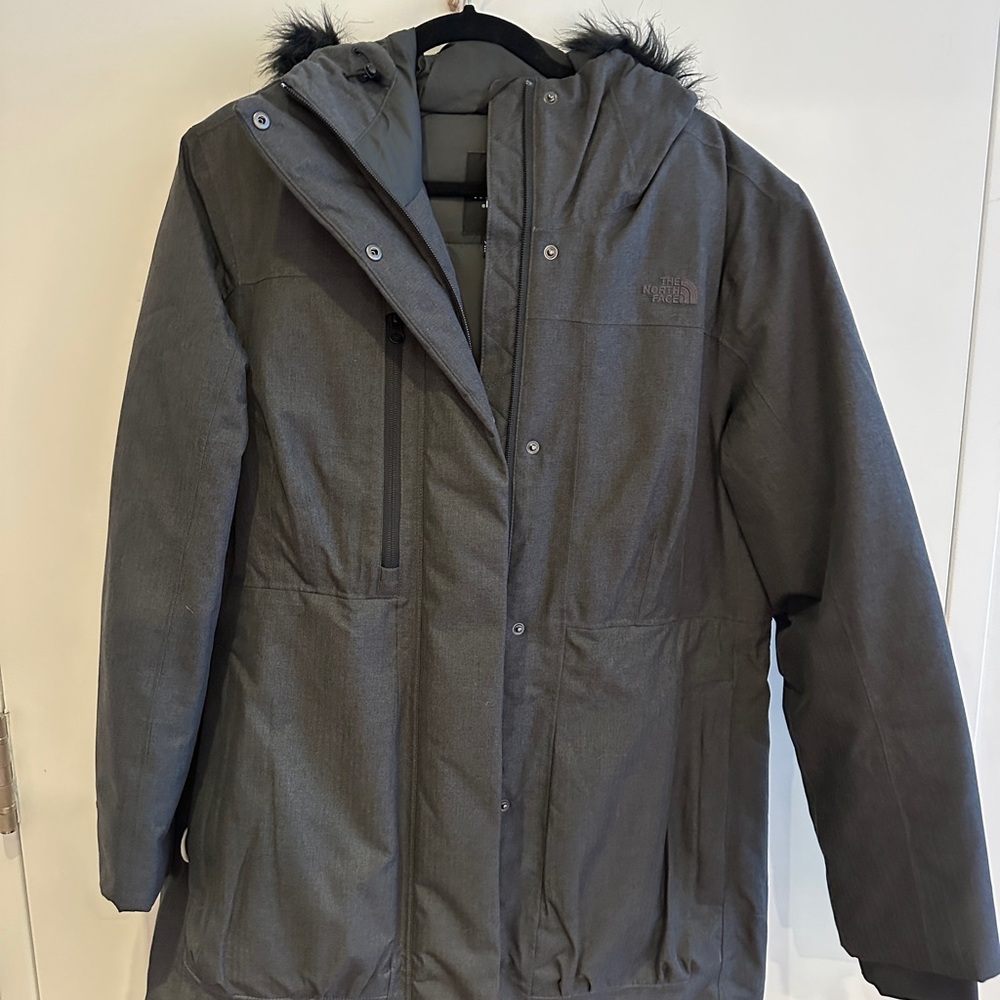 The North Face Downtown Hooded Parka